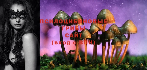 соль ск Верхнеуральск