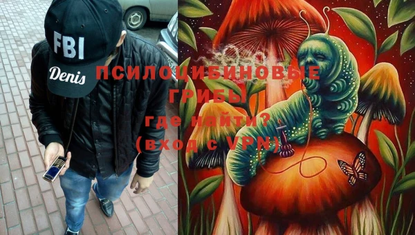 PSILOCYBIN Видное